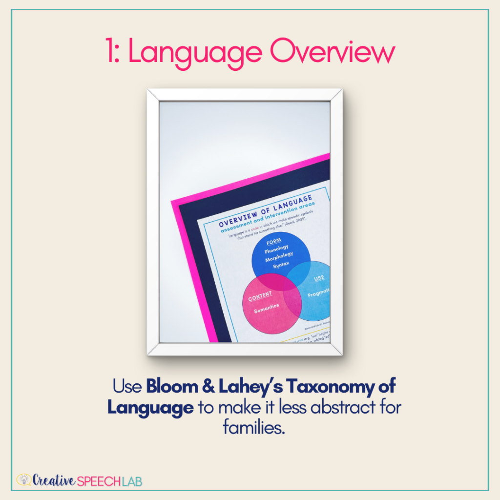 Photo of handout showing the components of language (Bloom & Lahey)